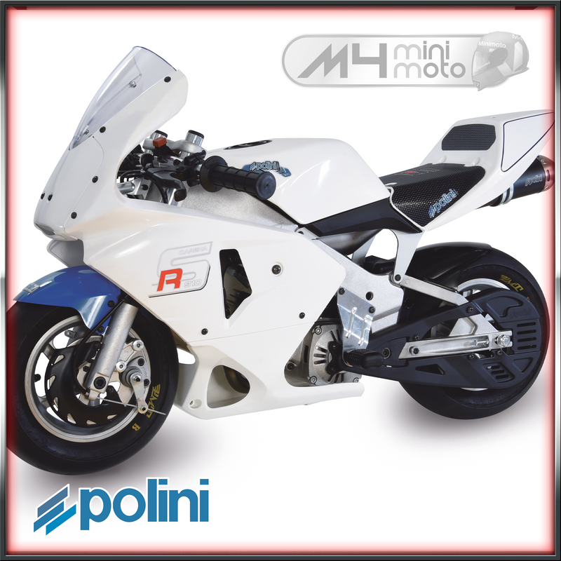 Load image into Gallery viewer, Polini 910 Carena RS Minibike 6.2

