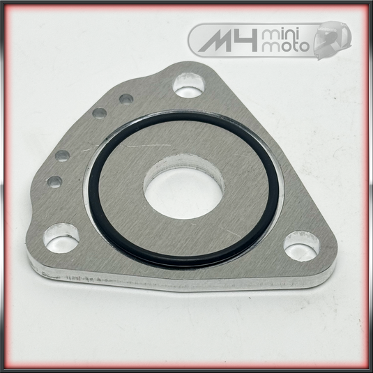Fab Restrictor Plate - GHR