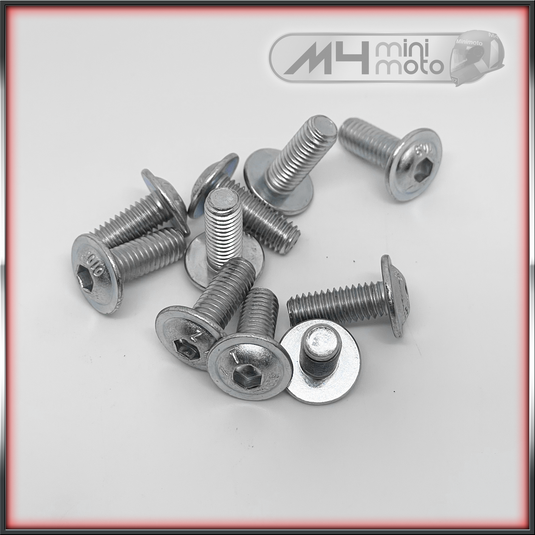 M6x16 Flanged Button Fairing Screw (pk10)