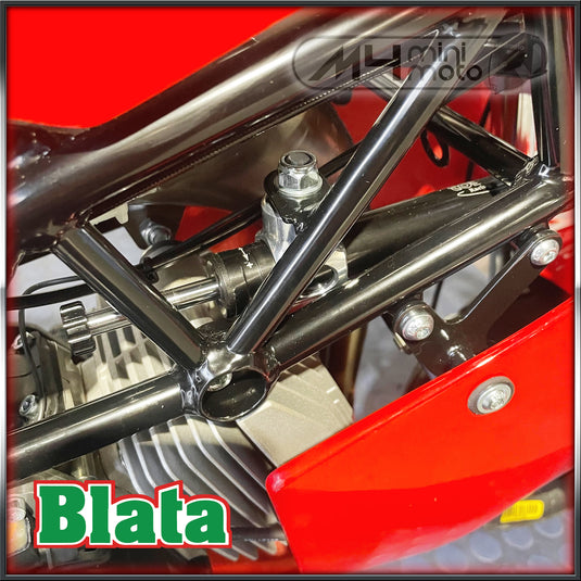 Blata Ultima RM10S
