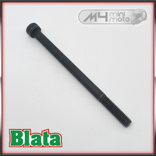 Blata Ultima Bottom Engine Bolt M8x125