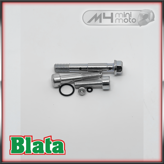 Formula Axial Rear Caliper Bolts and O Rings